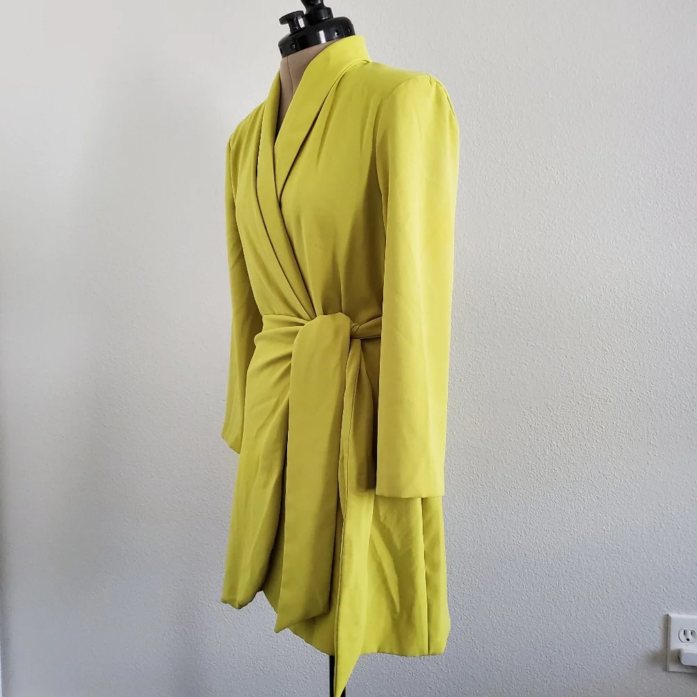 ZARA Dress - Picture 7 of 12